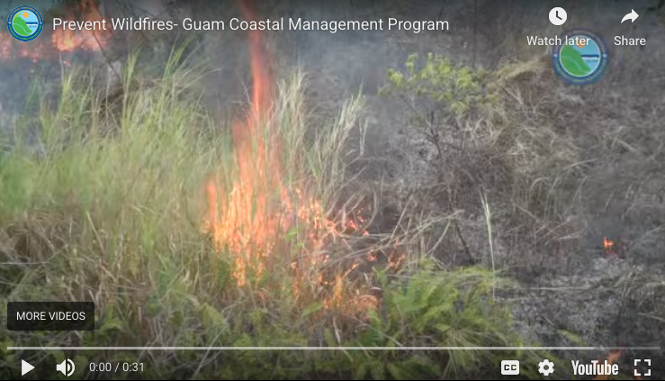 Prevent Wildfires PSA